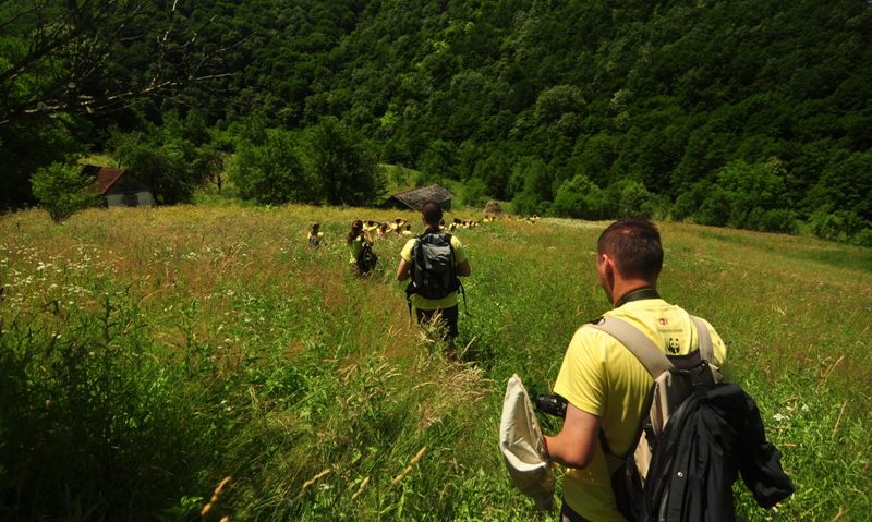 [AUDIO] În perioada stării de urgenţă, activitatea rangerilor din Parcul Naţional Semenic-Cheile Caraşului poate fi urmărită online