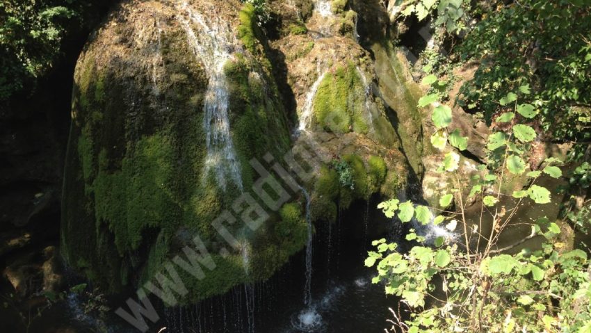 [FOTO] Taxa pe nimic valabilă în Caraş-Severin