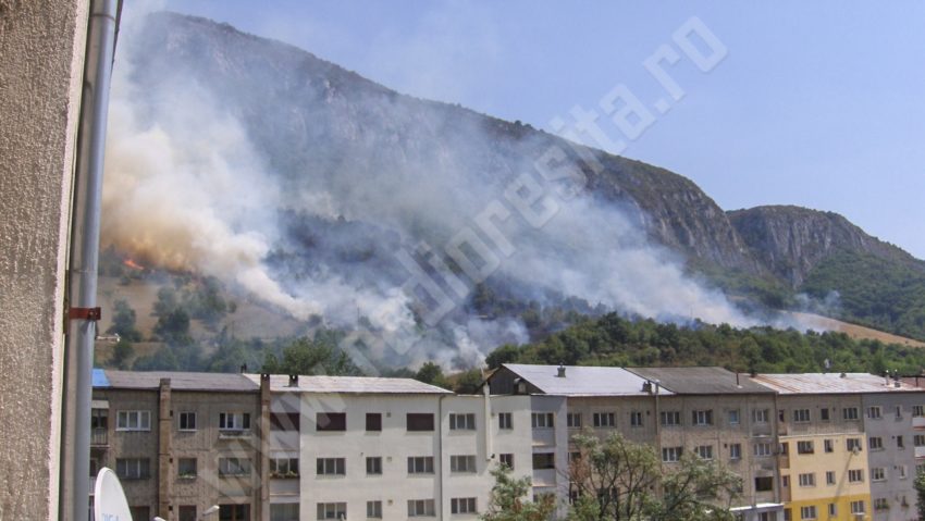 UPDATE Zeci de pompieri mobilizaţi pentru stingerea unui incendiu lângă Băile Herculane