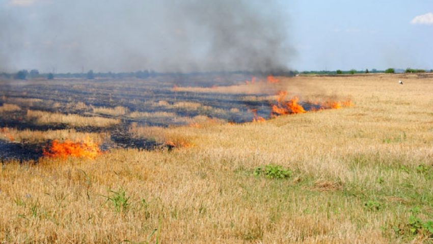 Incendii de proporţii în Timiş provocate de proprietarii de terenuri