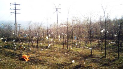 [FOTO-AUDIO] Noi cazuri de nerespectare a mediului în judeţul Caraş-Severin