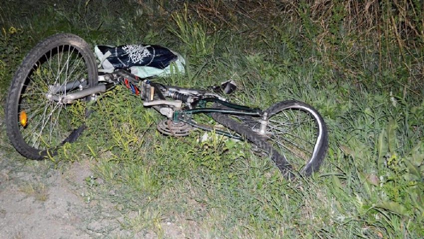 Biciclist accidentat mortal în Timiş