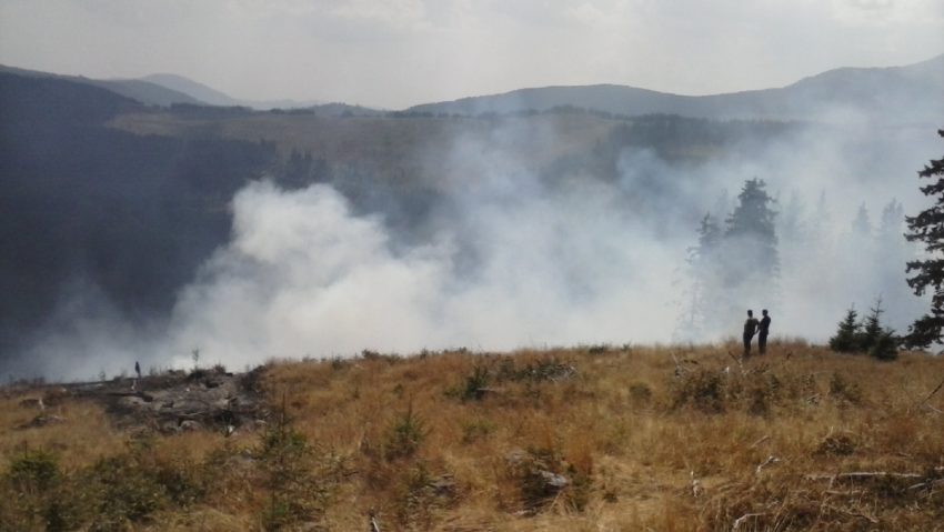 400 de incendii de vegetaţie au fost stinse în această vară de pompierii hunedoreni