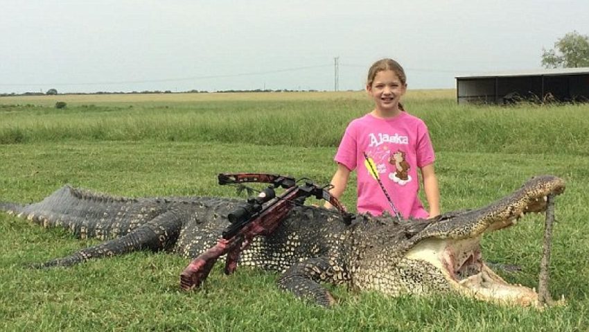 La doar 10 ani a vânat un aligator de 362 kg