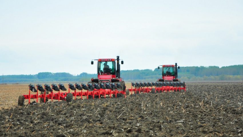 Campania de toamnă, în plin sezon. Agricultorii cărăşeni vor însămânţa peste 17 mii de hectare