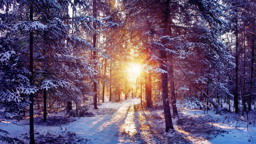 Vom avea o iarnă ca în „poveşti”! Este anunţul făcut de meteorologi pentru Banat