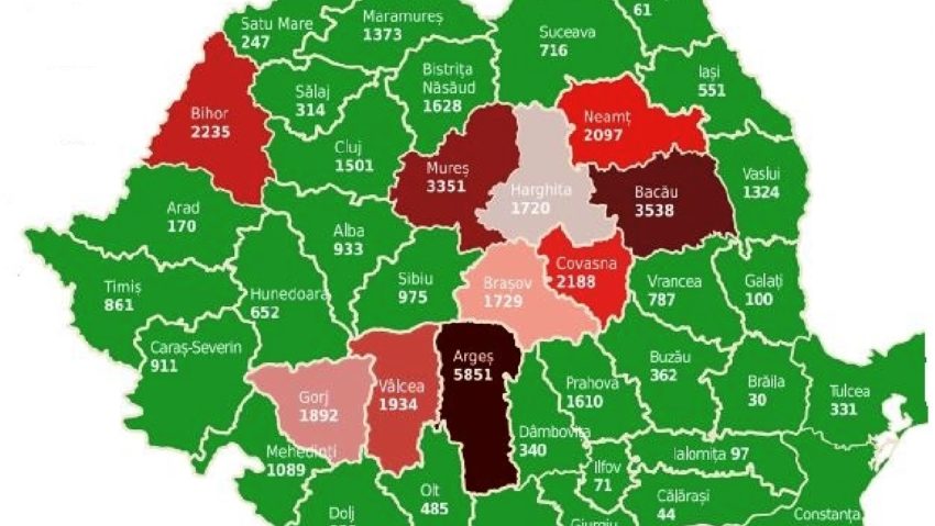 În România au loc peste 60 de cazuri pe zi de tăieri ilegale de arbori