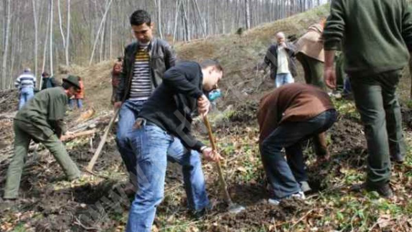 Primăvara deschide oficial de astăzi „Luna plantării arborilor” în Caraş-Severin cu ocazia Zilei Internaţionale a Pădurii