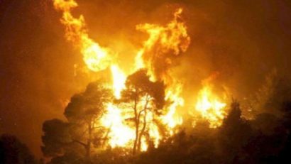 [AUDIO] Incendiu în Valea Cernei. Peste 50 de hectare de pădure ameninţate de flăcări