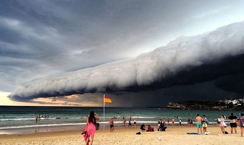 Tsunami de nori în Australia