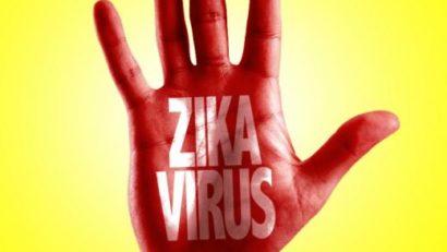 Medicii europeni au început căutarea unui antidot pentru virusul Zika