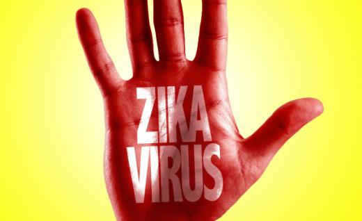 Organizaţia Mondială a Sănătăţii a avertizat că virusul Zika se răspândeşte exploziv