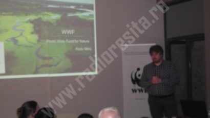 [FOTO] Îndemnul WWF România: Salvaţi pădurile virgine din Banat. Spuneţi NU tăierii!