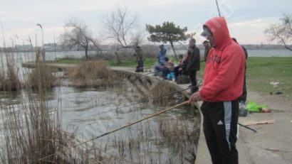 Timişenii gestionari, cărăşenii pescari: Situaţie incertă în apele din Banat!