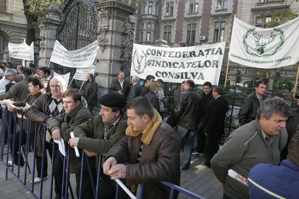 2.000 de silvicultori protestează la Bucureşti pentru a atrage atenţia asupra situaţiei pădurilor din România