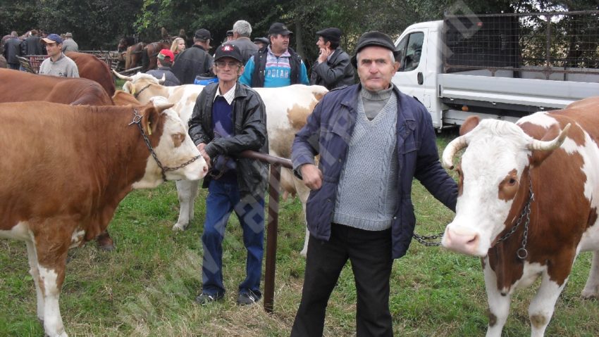 [AUDIO-FOTO] Judeţul Caraş-Severin în anotimpul târgurilor agricole de primăvară. La Oraviţa s-a deschis Târgul Mare