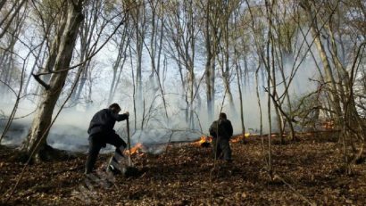 [AUDIO] Incendiile de vegetaţie fac ravagii în Caraş-Severin