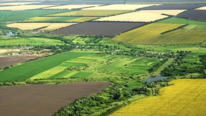 Terenurile agricole nu pot fi cumpărate sau vândute după bunul plac