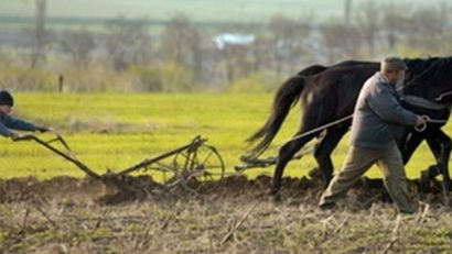 Primăriile din Caraş-Severin întârzie campania agricolă de primăvară