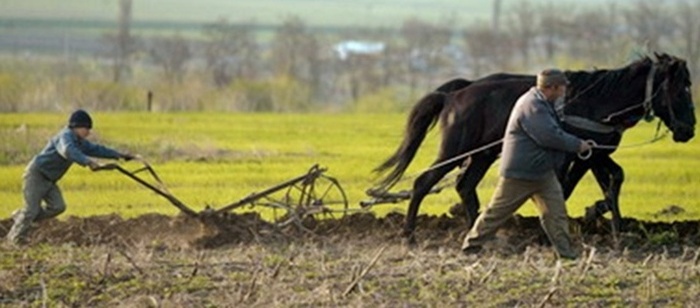 Primăriile din Caraş-Severin întârzie campania agricolă de primăvară