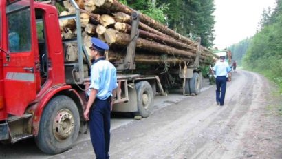 Lemn transportat ilegal, confiscat de poliţişti