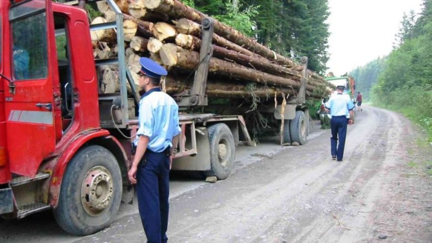 Material lemnos, în valoare de peste 38.000 de lei, confiscat în ultimele zile