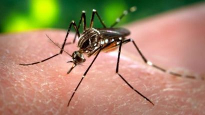 Al treilea caz de infectare cu virusul Zika a fost confirmat în România