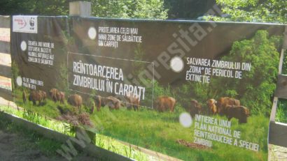 [AUDIO] Centru de cercetare a faunei sălbatice la Armeniş. Specialişti din întreaga ţară vor conlucra în Caraş-Severin