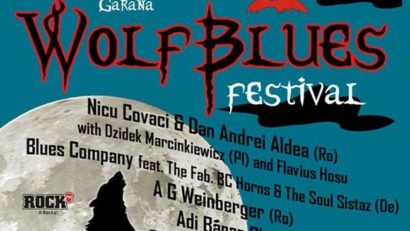 Un nou festival la Gărâna. După jazz, în Poiana Lupului va răsuna blues-ul