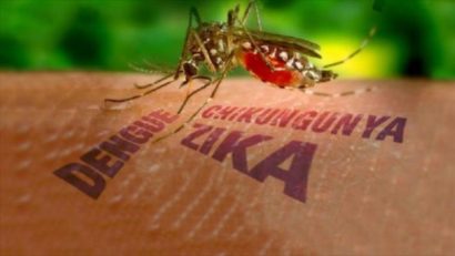 Primul caz de infecție cu virusul ZIKA, CONFIRMAT în România! Recomandările Ministerului Sănătății