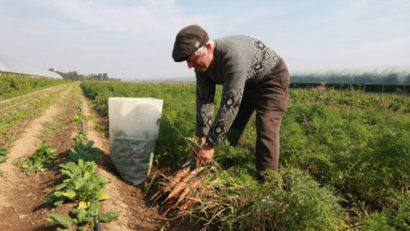 Peste 731.000 de fermieri, autorizaţi la plata avansului în Campania 2020; APIA demarează plata finală în 2 decembrie