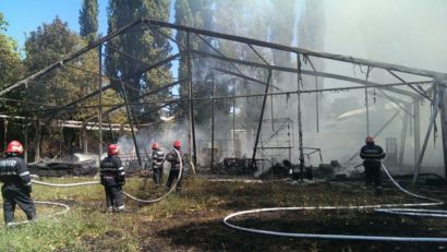 [FOTO-VIDEO] Incendiu în cartierul Floreasca din Capitală