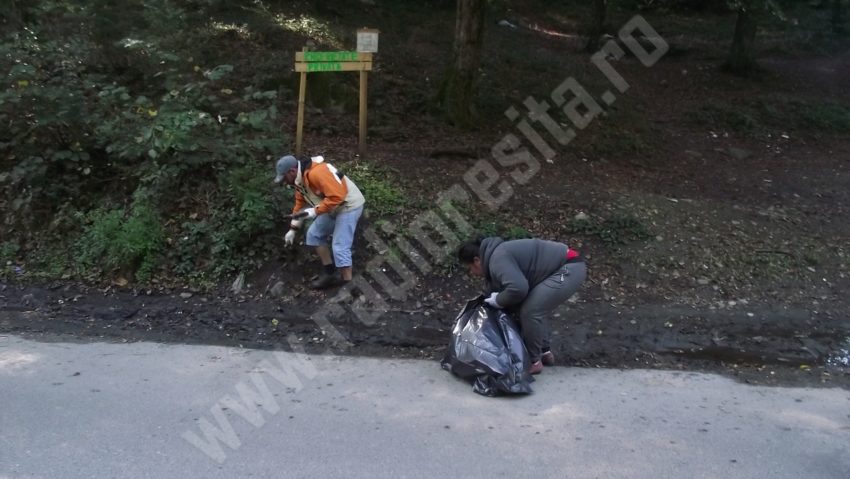 [FOTO] MIZERIA – la „tratament” pe Valea Cernei!