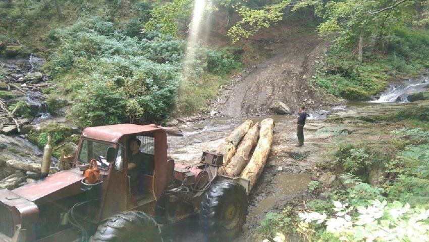 [AUDIO] Activitatea Ocoalelor Silvice din Caraş-Severin verificată de Direcţia silvică judeţeană. OS Băile Herculane prins cu ocaua mică!