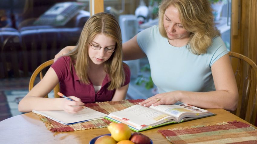 Homeschooling și în România