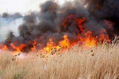 15 ore de incendiu în Delta Dunării