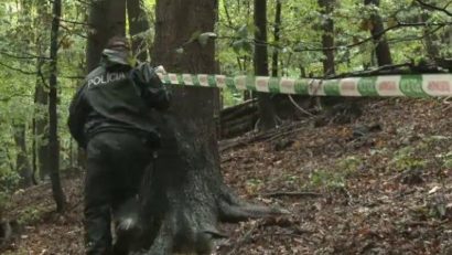 Român MORT în Slovacia într-o tragedie aviatică