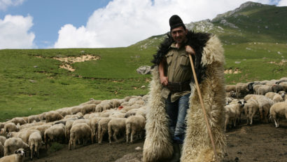 Programul Lâna, bate pasul pe loc în Caraş-Severin