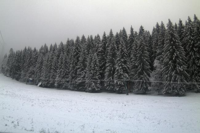 Ninge în România! Stratul de zăpadă are deja 15 centimetri