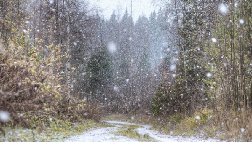 [FOTO-VIDEO] Fulguială în Munţii Banatului