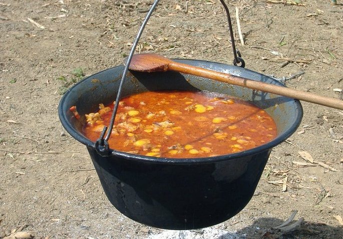 Se încing ceaunele la Dumbrava! Se caută Lingura de Aur!