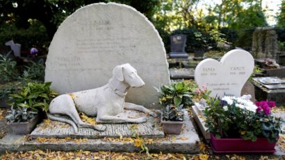 [FOTO] Cimitirul câinilor din Paris