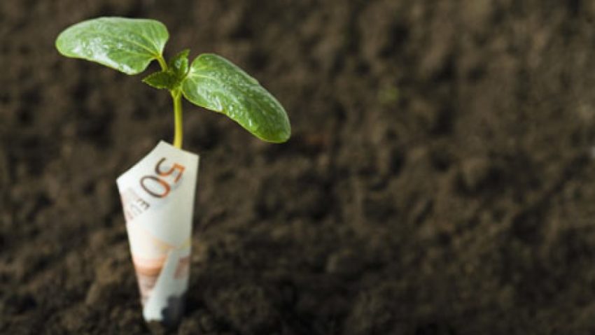 Bani pentru cooperatorii din agricultură