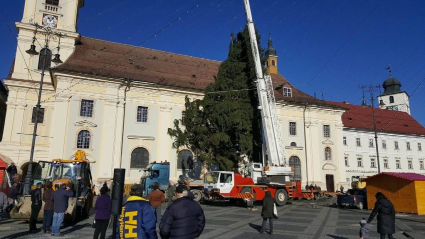 În Piaţa Mare din Sibiu a fost adus Bradul de Crăciun