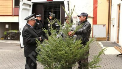 1 Decembrie deschide sezonul controalelor la pomii de iarnă în Caraş-Severin