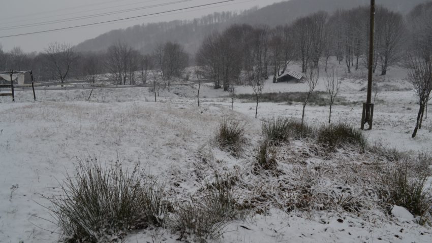 [FOTO] Primii fulgi de nea peste Caraş-Severin. Administrația Națională de Meteorologie au emis cod galben de ninsori