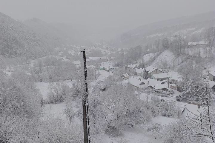 Ninsorile au făcut ravagii in Judeţul Timiş