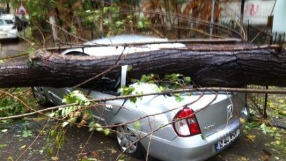 Vântul puternic de aseară a făcut ravagii în vestul ţării: Mai mulţi stâlpi şi arbori au căzut pe carosabil