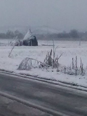 Prognoza meteo pentru zilele următoare. Iată cum va fi vremea în Banat, în prima zi a anului 2017