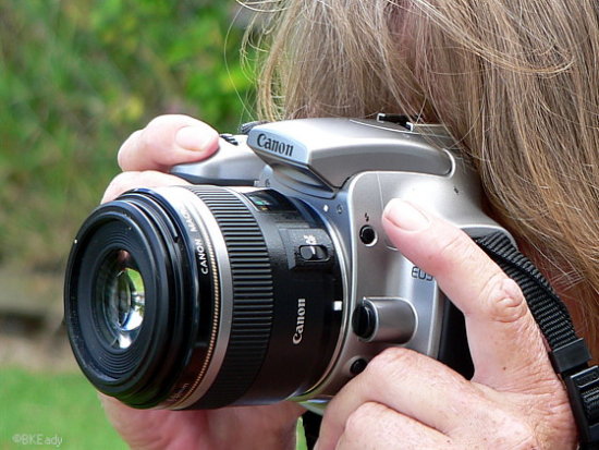 Cursul complet de fotografie al Universităţii Harvard este disponibil, gratuit, online